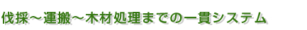 伐採～運搬～木材処理までの一貫システム